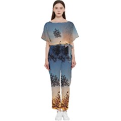 Hardest-frost-winter-cold-frozen Batwing Lightweight Chiffon Jumpsuit by Amaryn4rt