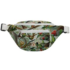Humming Birds Trochilidae Fanny Pack by Pakjumat