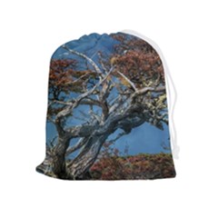 Botanical Wonders Of Argentina  Drawstring Pouch (xl) by dflcprintsclothing