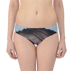 Leaf Veins Nerves Macro Closeup Hipster Bikini Bottoms by Amaryn4rt