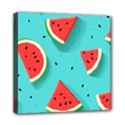Watermelon Fruit Slice Mini Canvas 8  x 8  (Stretched) View1