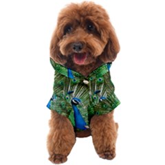 Peafowl Peacock Dog Coat by Sarkoni
