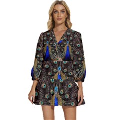 Peacock V-neck Placket Mini Dress by Ket1n9