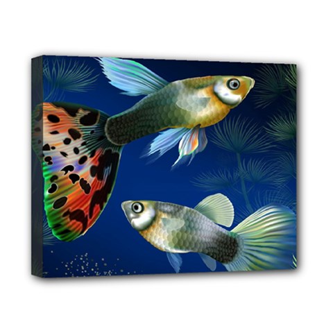Marine Fishes Canvas 10  X 8  (stretched) by Ket1n9