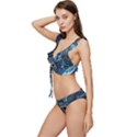 Circuit Board Motherboard Low Cut Ruffle Edge Bikini Set View2