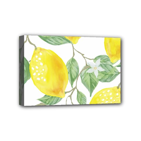 Fruit-2310212 Mini Canvas 6  X 4  (stretched) by lipli