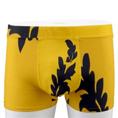 Yellow Regal Filagree Pattern Men s Boxer Briefs by Azkajaya