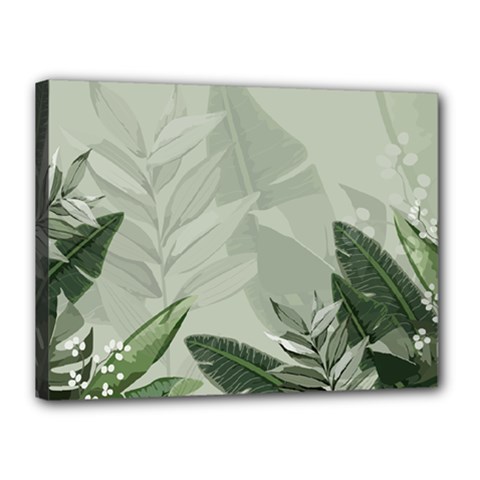 Banana Leaf Plant Pattern Canvas 16  X 12  (stretched) by anzea