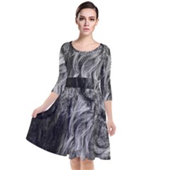 Angry Male Lion Wild Animal Quarter Sleeve Waist Band Dress by Loisa77