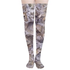 Fossilized Seashell Texture Print Design Bk Thigh High Stockings by dflcprintsclothing