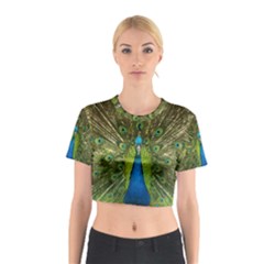 Peacock Feathers Bird Plumage Cotton Crop Top by Perong