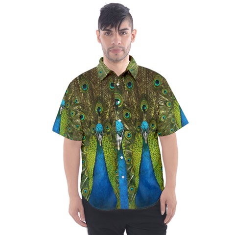 Peacock Feathers Bird Plumage Men s Short Sleeve Shirt by Perong
