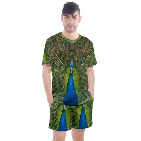 Peacock Feathers Bird Plumage Men s Mesh T-shirt And Shorts Set by Perong