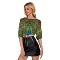 Peacock Feathers Bird Plumage Mid Sleeve Drawstring Hem Top View2