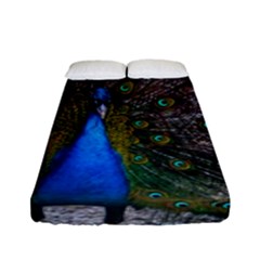 Bird Peacock Feathers Fitted Sheet (full/ Double Size) by Perong