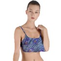 Peacock Bird Feathers Coloured Plumage Layered Top Bikini Top  View1