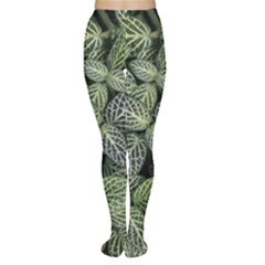 Leaves Foliage Botany Plant Tights by Maspions