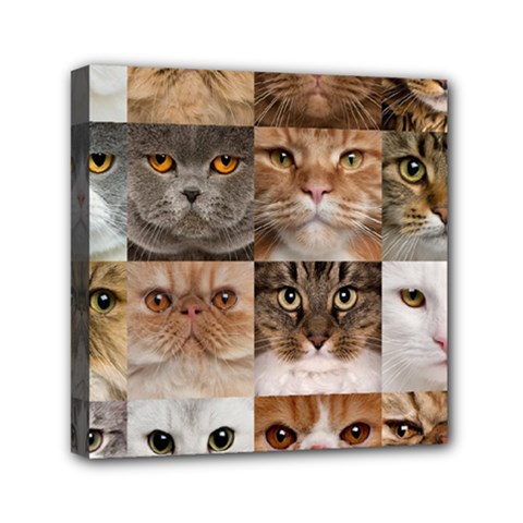 Breeds Of Cats Collage Mini Canvas 6  X 6  (stretched) by kyorashop23