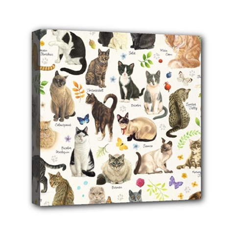 Cats, All, Collage, Cat Mini Canvas 6  X 6  (stretched) by kyorashop23