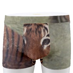 Swimming Tiger Men s Boxer Briefs by ExtraAwesomeSauce