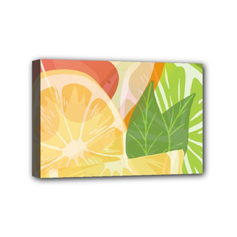Citrus Fruit Healthy Vitamin Mini Canvas 6  X 4  (stretched) by Paksenen