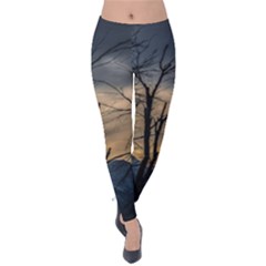 Tree Silhouette At Border Of Nahuel Haupi Lake, Rio Negro, Argentina Velvet Leggings by dflcprintsclothing