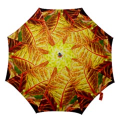 Leaves Plant Pattern Croton Nature Hook Handle Umbrellas (large) by Sabxi