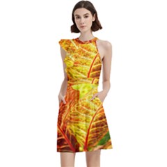 Leaves Plant Pattern Croton Nature Cocktail Party Halter Sleeveless Dress With Pockets by Sabxi