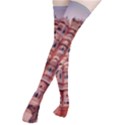 rajasthan hawa mahal Thigh High Stockings View2