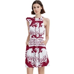 University Of Chicago Cocktail Party Halter Sleeveless Dress With Pockets by avitendut