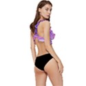 Colorful Labstract Wallpaper Theme Low Cut Ruffle Edge Bikini Top View3