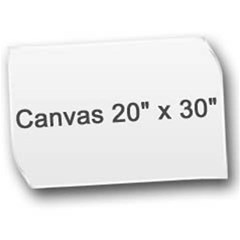 Canvas 20  x 30  Icon