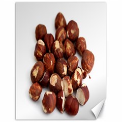 Hazelnuts Canvas 18  X 24  (unframed) by hlehnerer