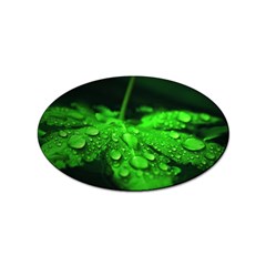 Waterdrops Sticker 100 Pack (oval) by Siebenhuehner