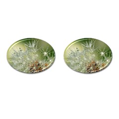 Dandelion Cufflinks (oval) by Siebenhuehner