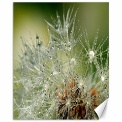 Dandelion Canvas 11  X 14  (unframed) by Siebenhuehner