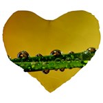 Drops 19  Premium Heart Shape Cushion Back