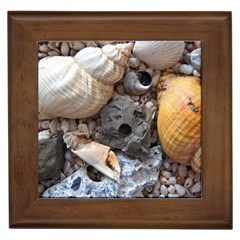 Beach Treasures Framed Ceramic Tile by StuffOrSomething