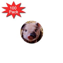 Sweet Piglet 1  Mini Magnets (100 Pack)  by ImpressiveMoments