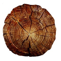 Cross Section Of An Old Tree Large 18  Premium Round Cushions by trendistuff