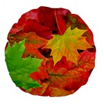 AUTUMN LEAVES 1 Large 18  Premium Round Cushions Back
