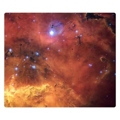 Skull & Crossbones Double Sided Flano Blanket (small)  by trendistuff
