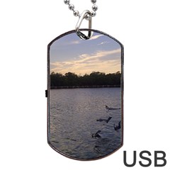 Intercoastal Seagulls 3 Dog Tag Usb Flash (two Sides)  by Jamboo