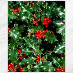 Holly 2 Canvas 11  X 14   by trendistuff