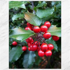Holly 1 Canvas 12  X 16   by trendistuff
