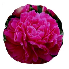 Paeonia Eleanor Large 18  Premium Round Cushions by trendistuff