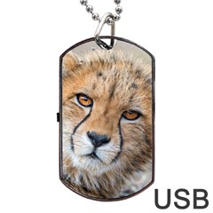 Leopard Laying Down Dog Tag Usb Flash (two Sides)  by trendistuff