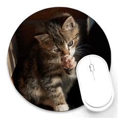 Talk To The Paw Round Mousepads by trendistuff