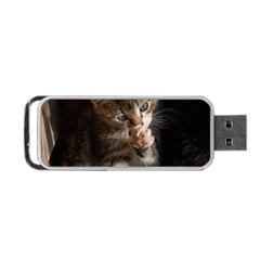 Talk To The Paw Portable Usb Flash (one Side) by trendistuff