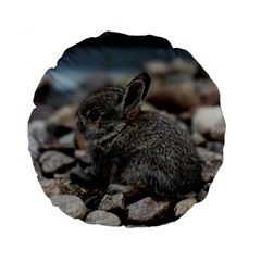 Small Baby Bunny Standard 15  Premium Flano Round Cushions by trendistuff